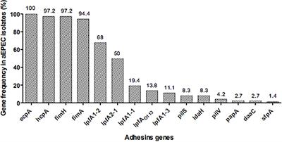 Distribution of Major Pilin Subunit Genes Among Atypical Enteropathogenic Escherichia coli and Influence of Growth Media on Expression of the ecp Operon